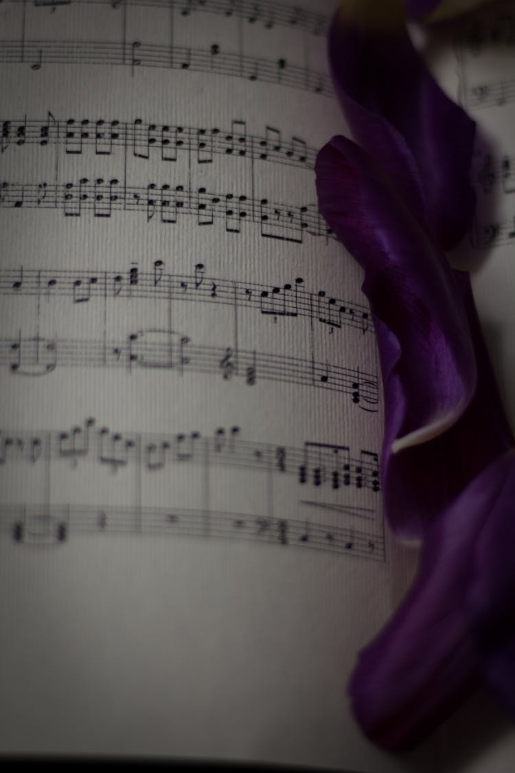 Purple Fabric On Sheet With Music Notes