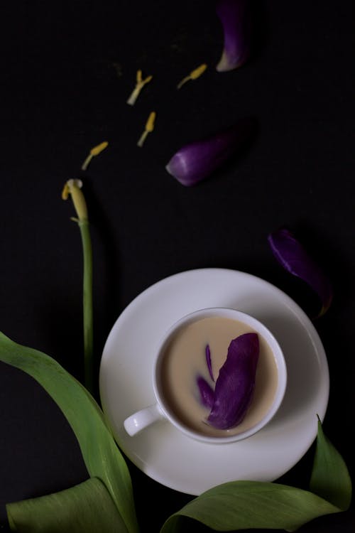 Free Milky Coffee with a Flower Petal Inside  Stock Photo