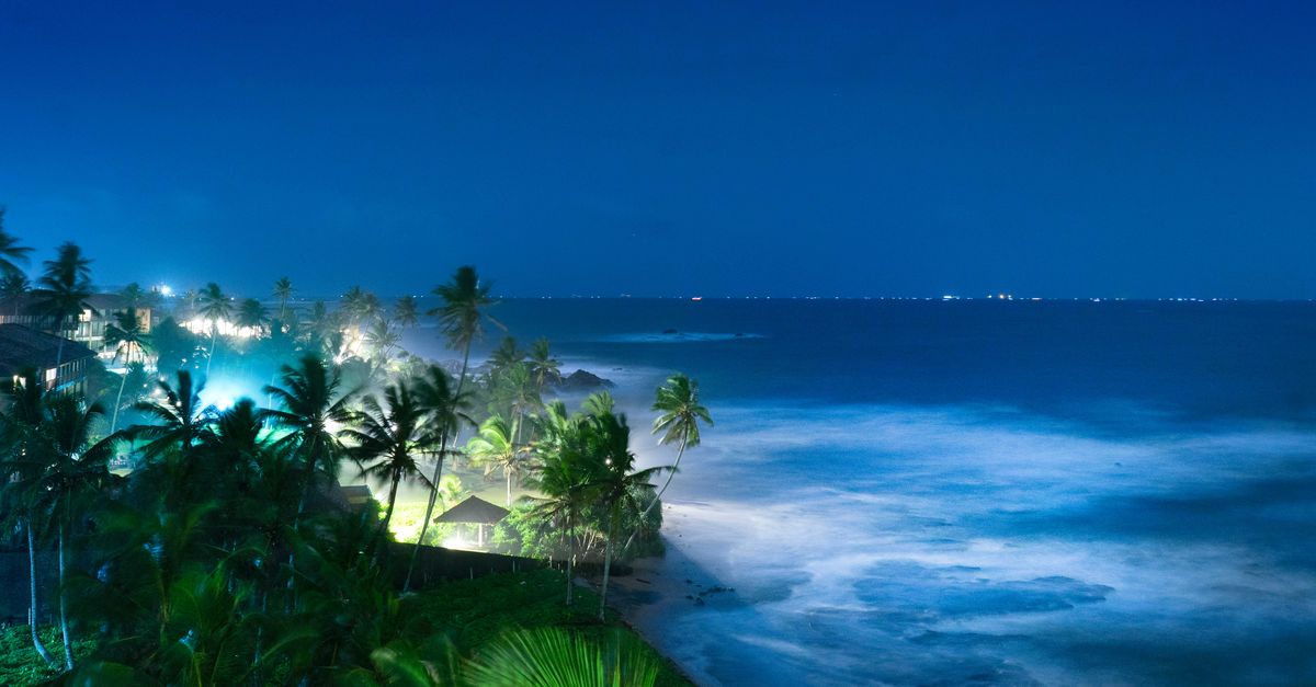 Las mejores experiencias de turismo de placer en playas paradisíacas