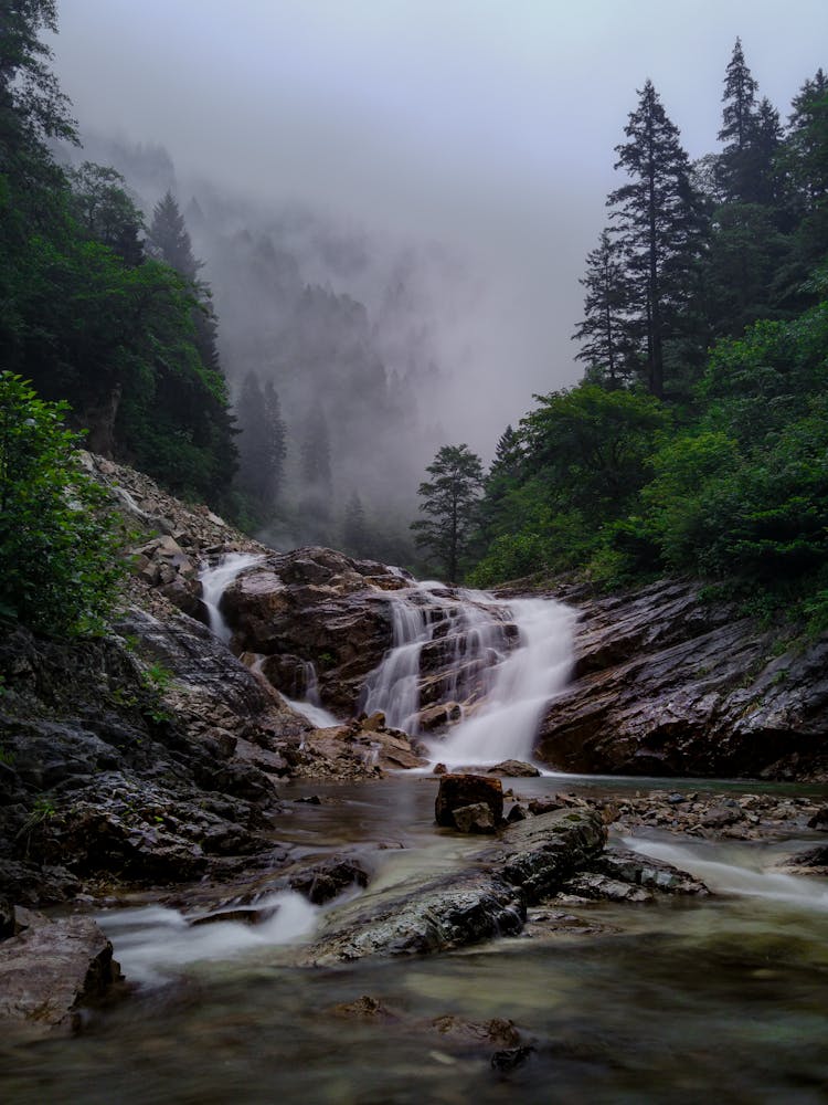 Mountain Stream Running Through Forest