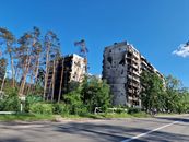 Gray Concrete Building Near Trees