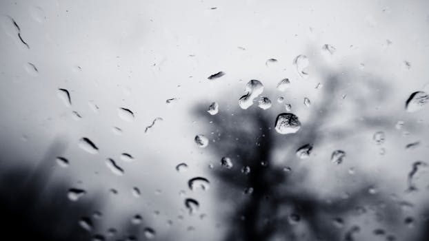 Close-up of raindrops on a window with a blurred tree in the background, captured in black and white.