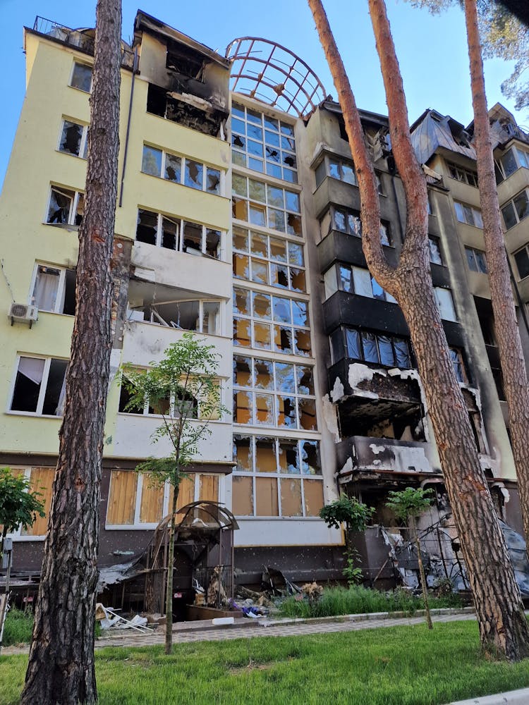 Remains Of A Burned Building Near Trees