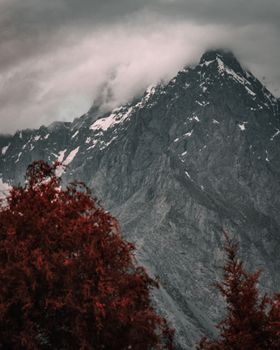 A dramatic mountain peak shrouded in mist, framed by vibrant autumn foliage.