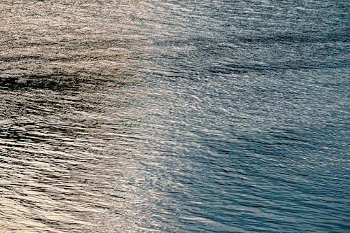 Бесплатное стоковое фото с вода, закат, озеро