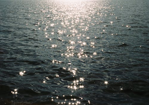 Sunlight on Sea