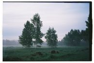 Free stock photo of 35mm, film photography, fog