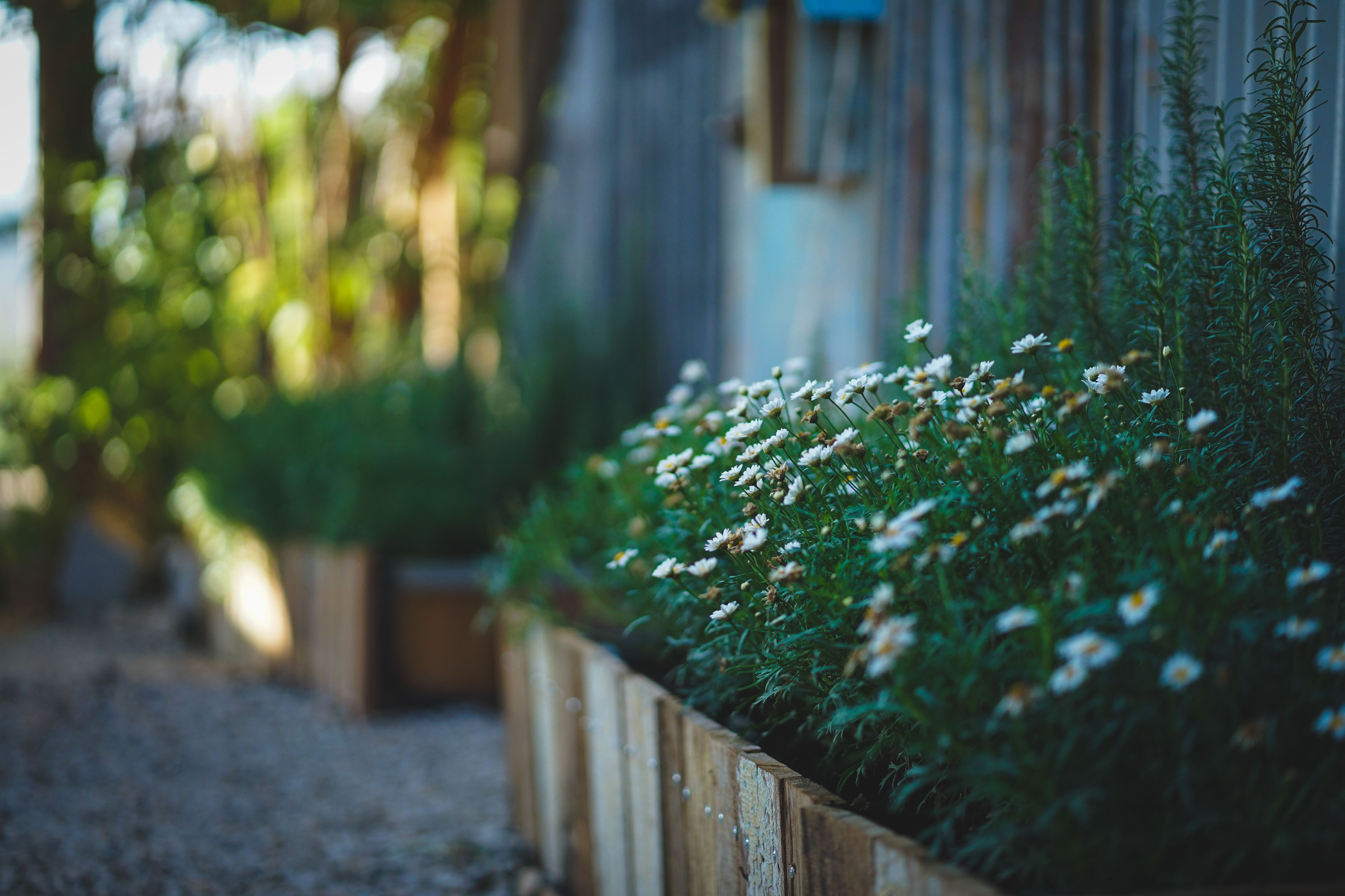 Fence and Decking Painting in Rush Green — the finished result after a professional repaint