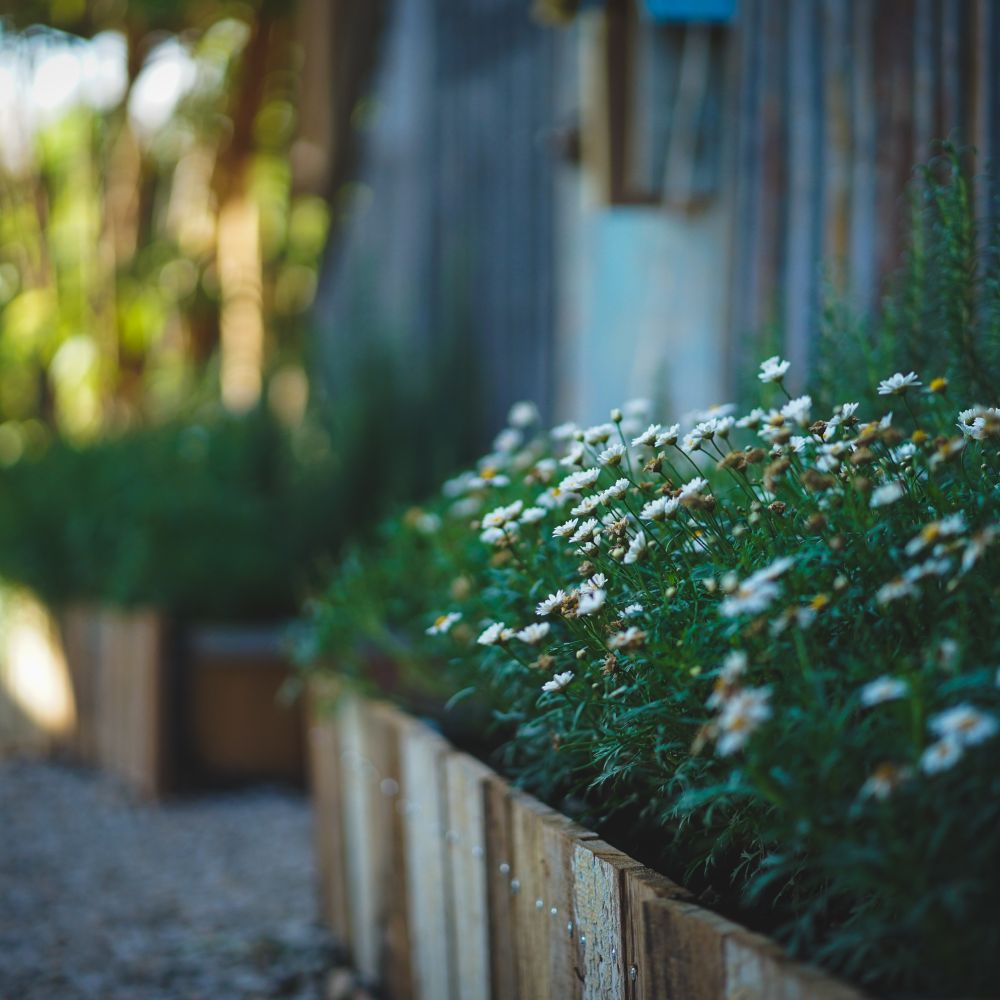 Fence and Decking Painting in Lamorbey — surfaces prepped and cut in by hand