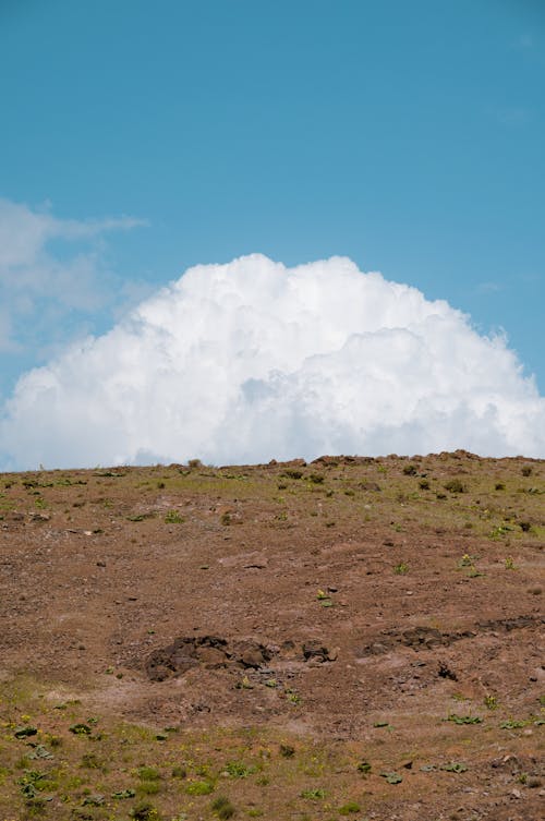Základová fotografie zdarma na téma bílé mraky, hnědé pole, modrá obloha
