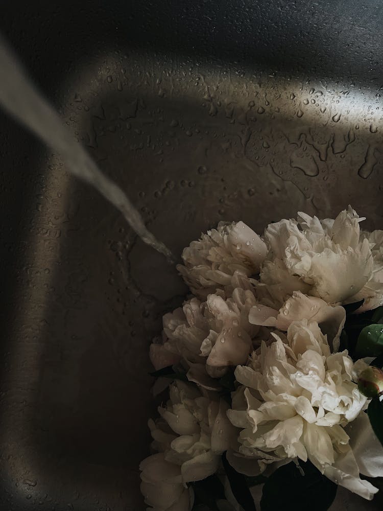 White Flower On Sink With Running Water 