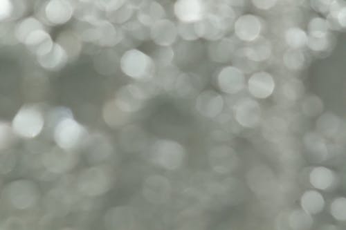 Gratis stockfoto met achtergrond, bokeh, grijsbokeh