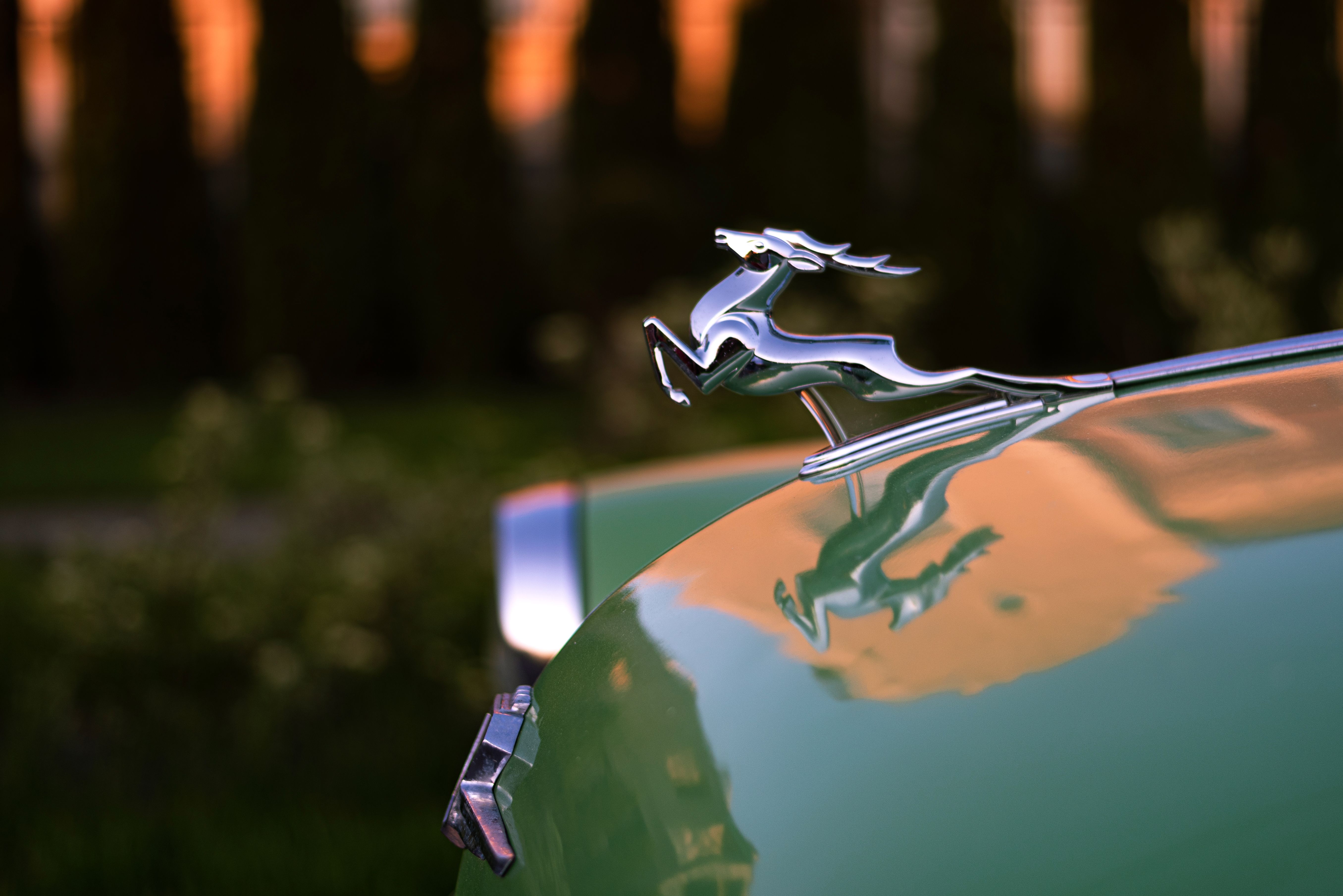 Metal deer hood ornament on a vintage car in a sunset reflection.