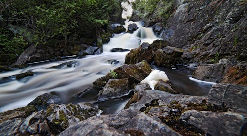 Fotos de stock gratuitas de arboles, fluyendo, larga exposición