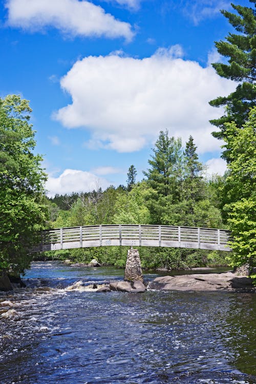 White Bridge over River Surrounded by Green Trees