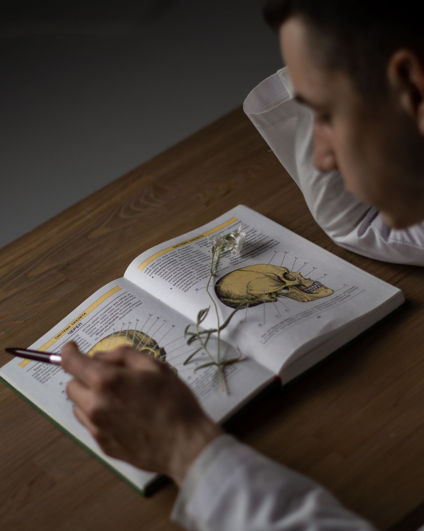 Studying an anatomy atlas at a desk