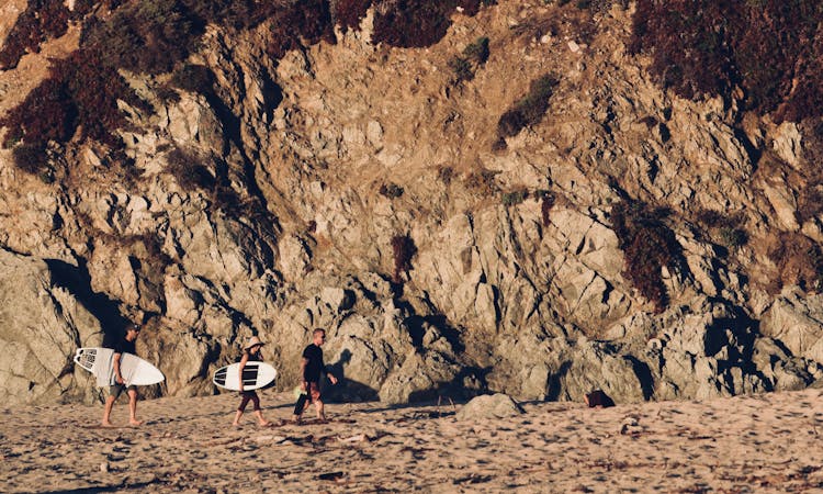 People Walking On Brown Sand