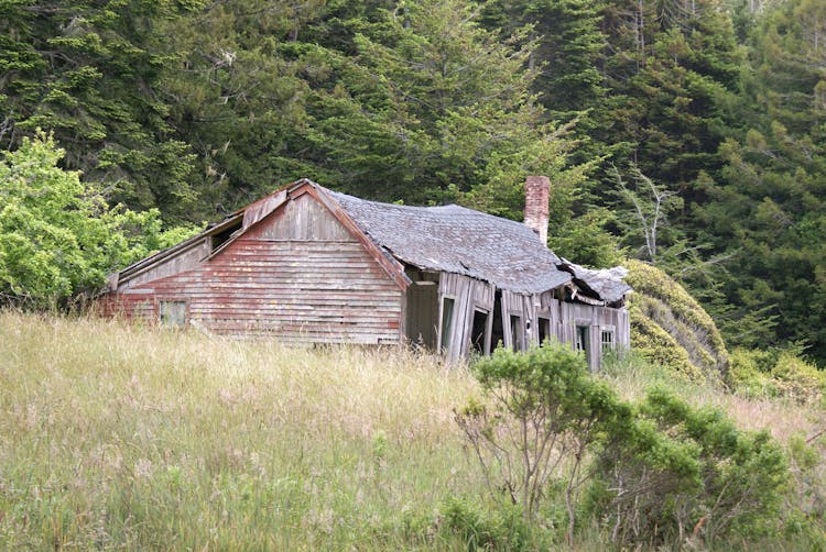 Abandoned House On Grass Field Near Trees