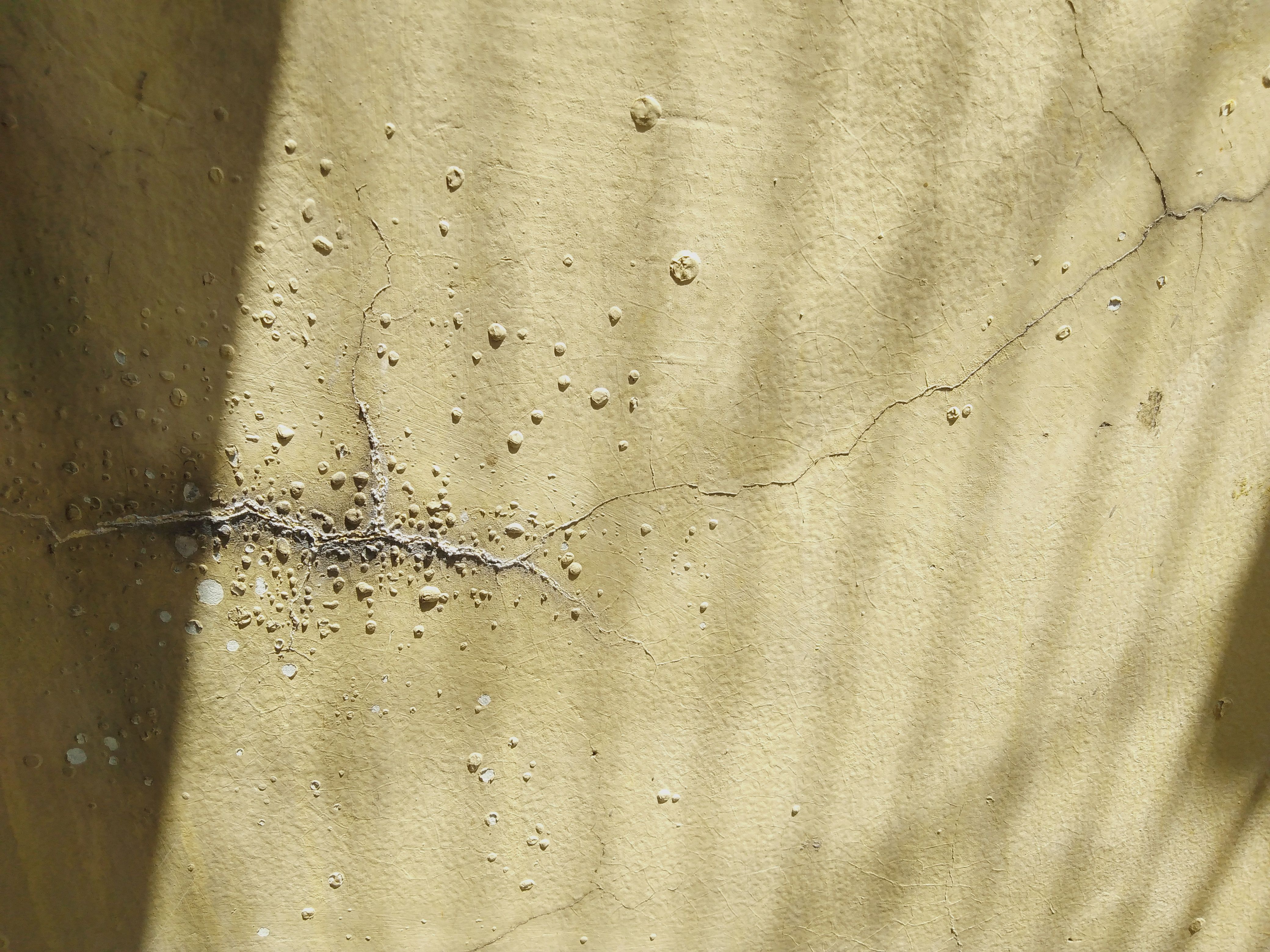 Fissure structurelle grave sur mur en béton