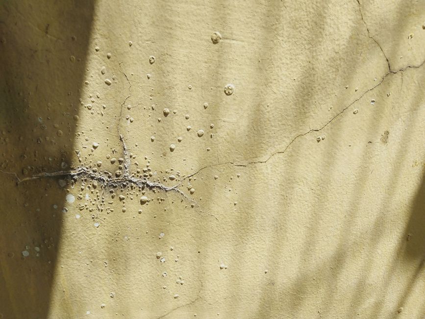 Slab Leak Cleanup service in San Antonio, Texas — appliance leak detection and cleanup