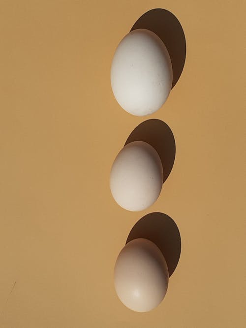 White Eggs on Brown Surface