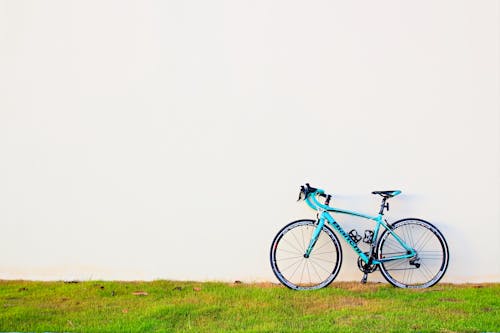 A Bicycle on Grass