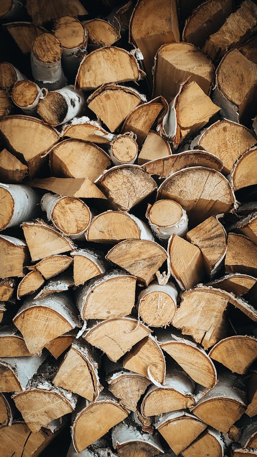 Foto stok gratis kayu, kayu bakar, kayu cincang