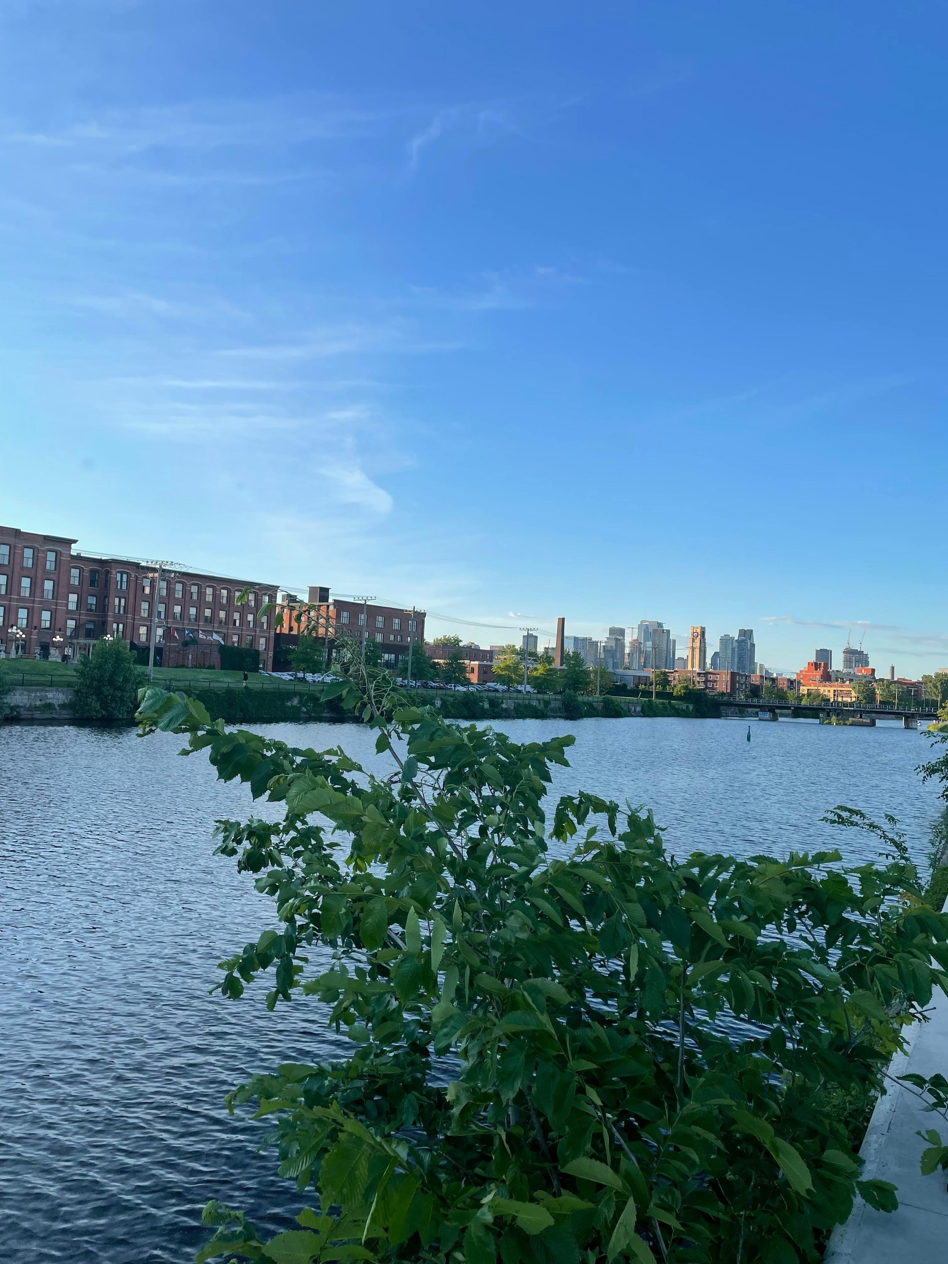 Michelle Laurin 摄影