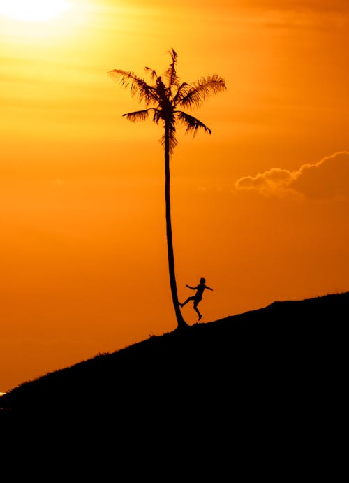 Free Silhouette of Person and Palm Tree Against Sunset Stock Photo
