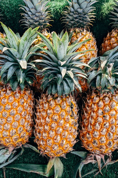 Free Yellow Pineapple Fruits with Green Leaves Stock Photo