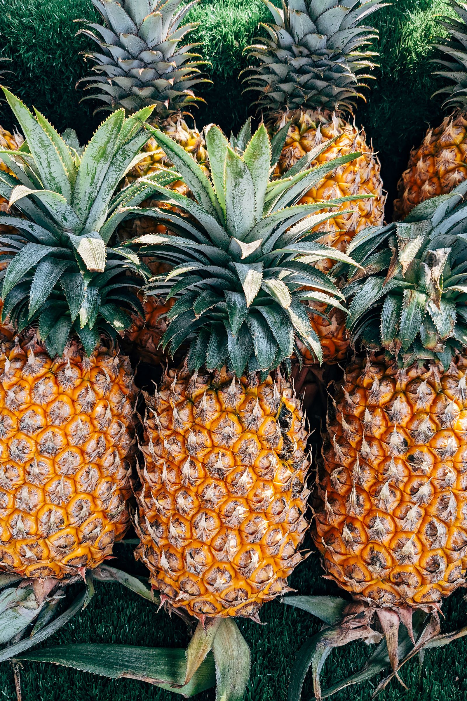 pineapple