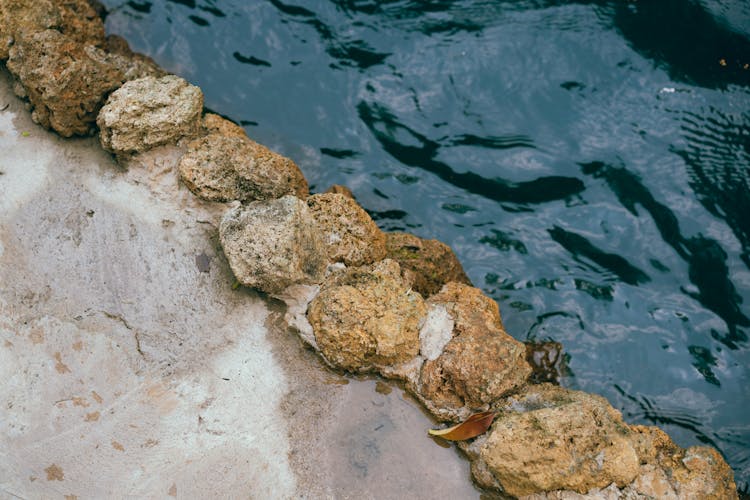 Rocks On The Edge Of A Pond