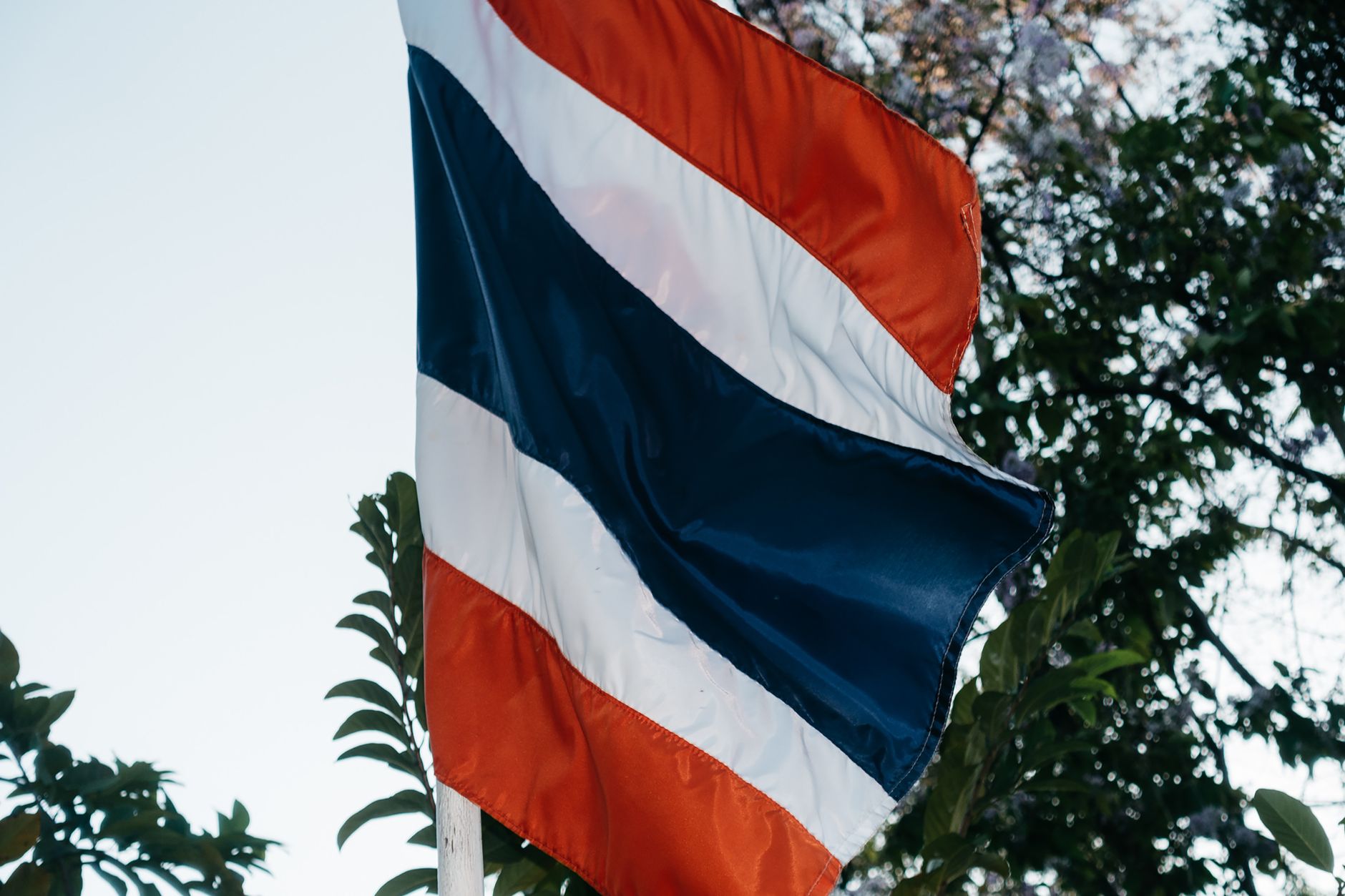 Close-up view of the Thailand national flag waving among trees. Symbolic and patriotic imagery.