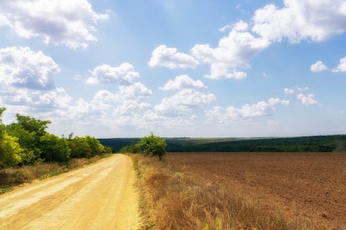 A Dirt Road Beside Brown Grass Field 