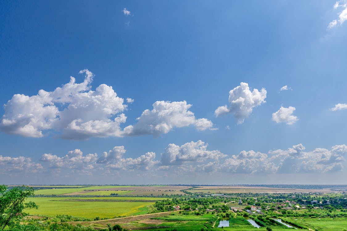 Foto stok gratis agrikultura, awan putih, bentangan awan