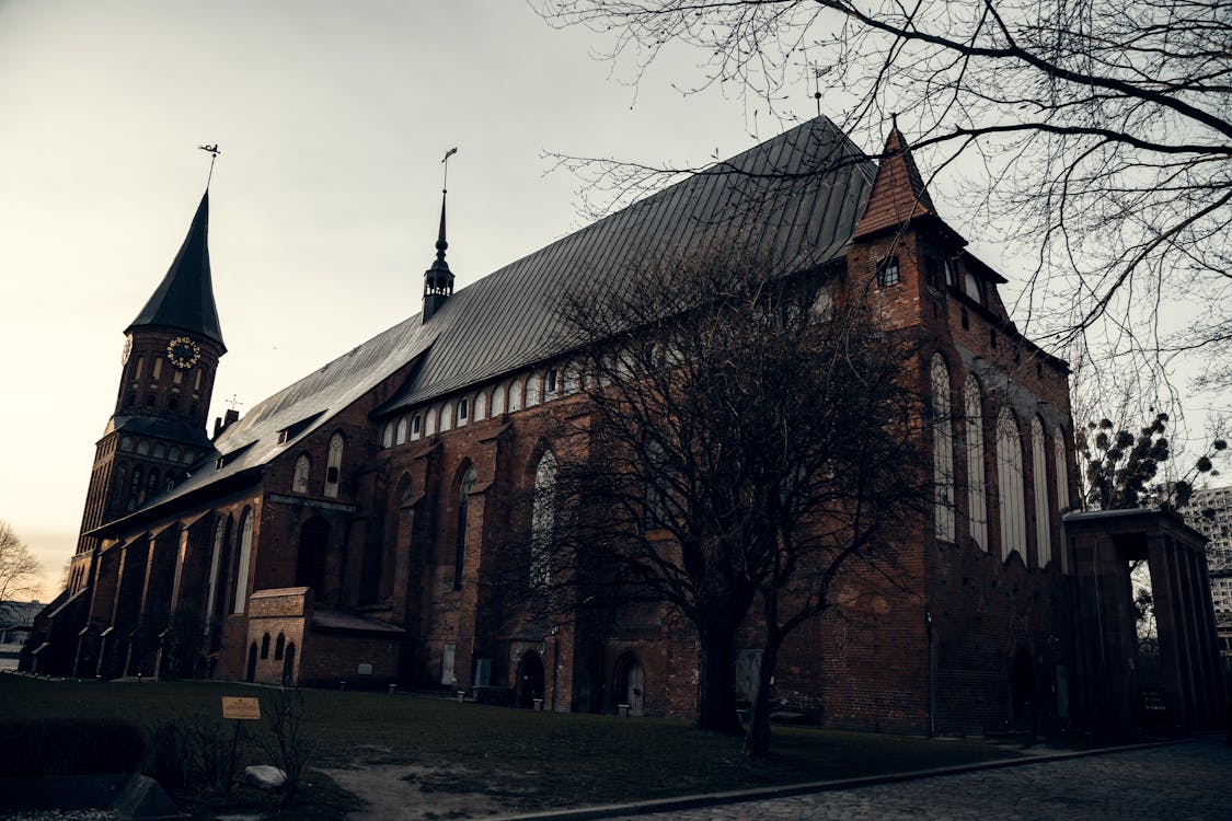 가을, 고딕 스타일, 고딕 양식의 건축물의 무료 스톡 사진