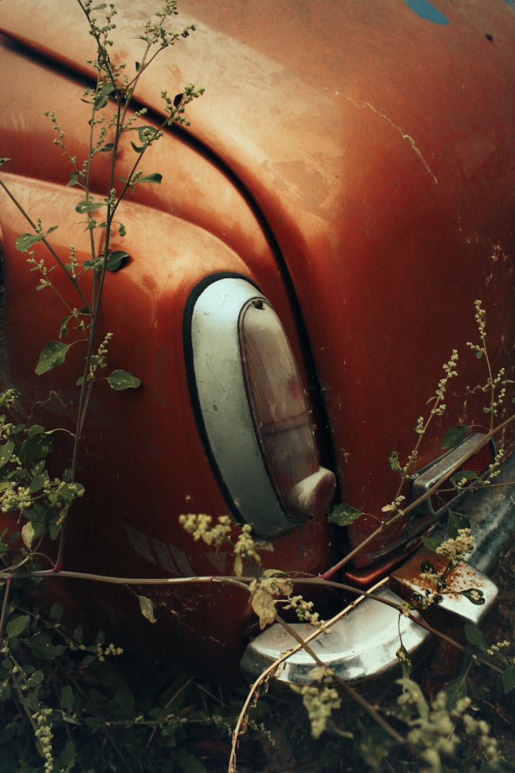 A Taillight Of Red Classic Car 