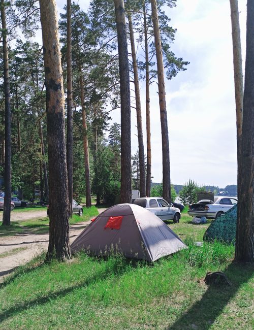 Free Peaceful campsite with tents among tall birch trees, perfect for outdoor adventure. Stock Photo