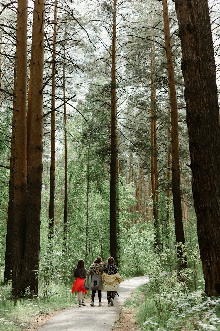 A Group Of Kids Walking In The Middle Of A Forest