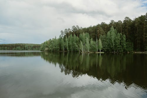 Green Trees Beside Lake Under Cloudy Sky