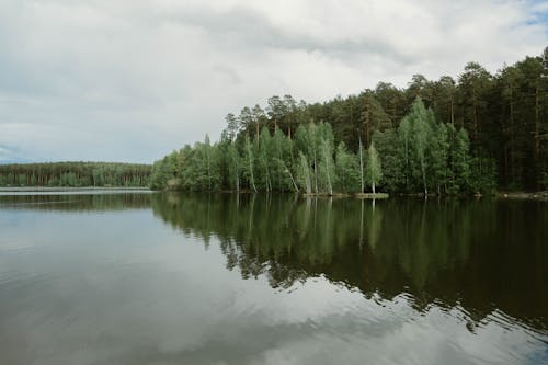 Ingyenes stockfotó természet, természetfotózás, tó témában