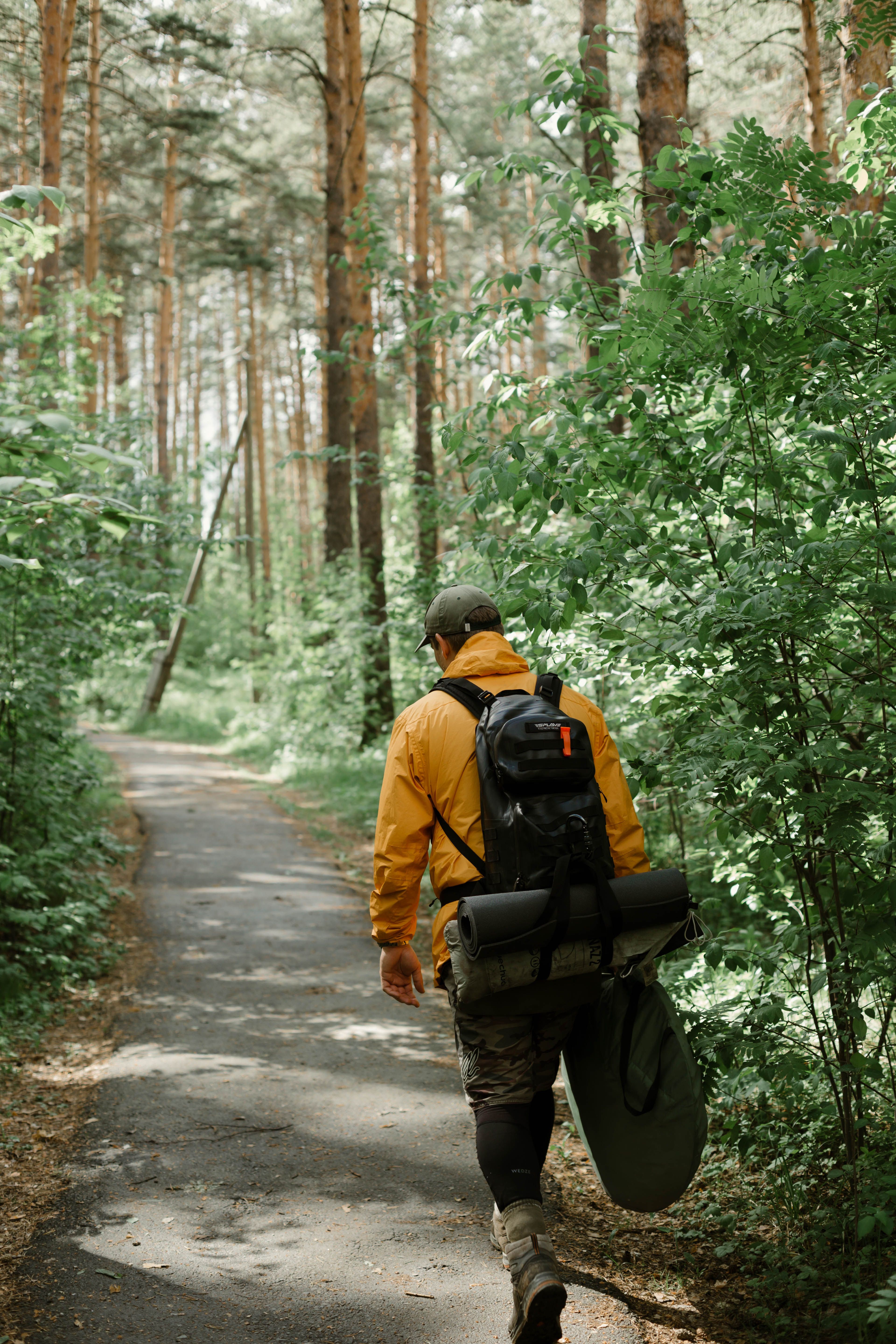 Back View of a Man Walking in the Forest · Free Stock Photo