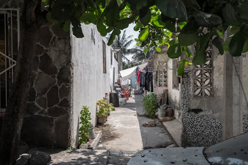 View of a Narrow Alley between Houses in a Town 