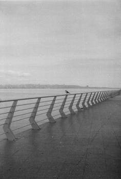 Black and white photo of a solitary bird perched on a canal rail, showcasing minimalist and vintage aesthetics.
