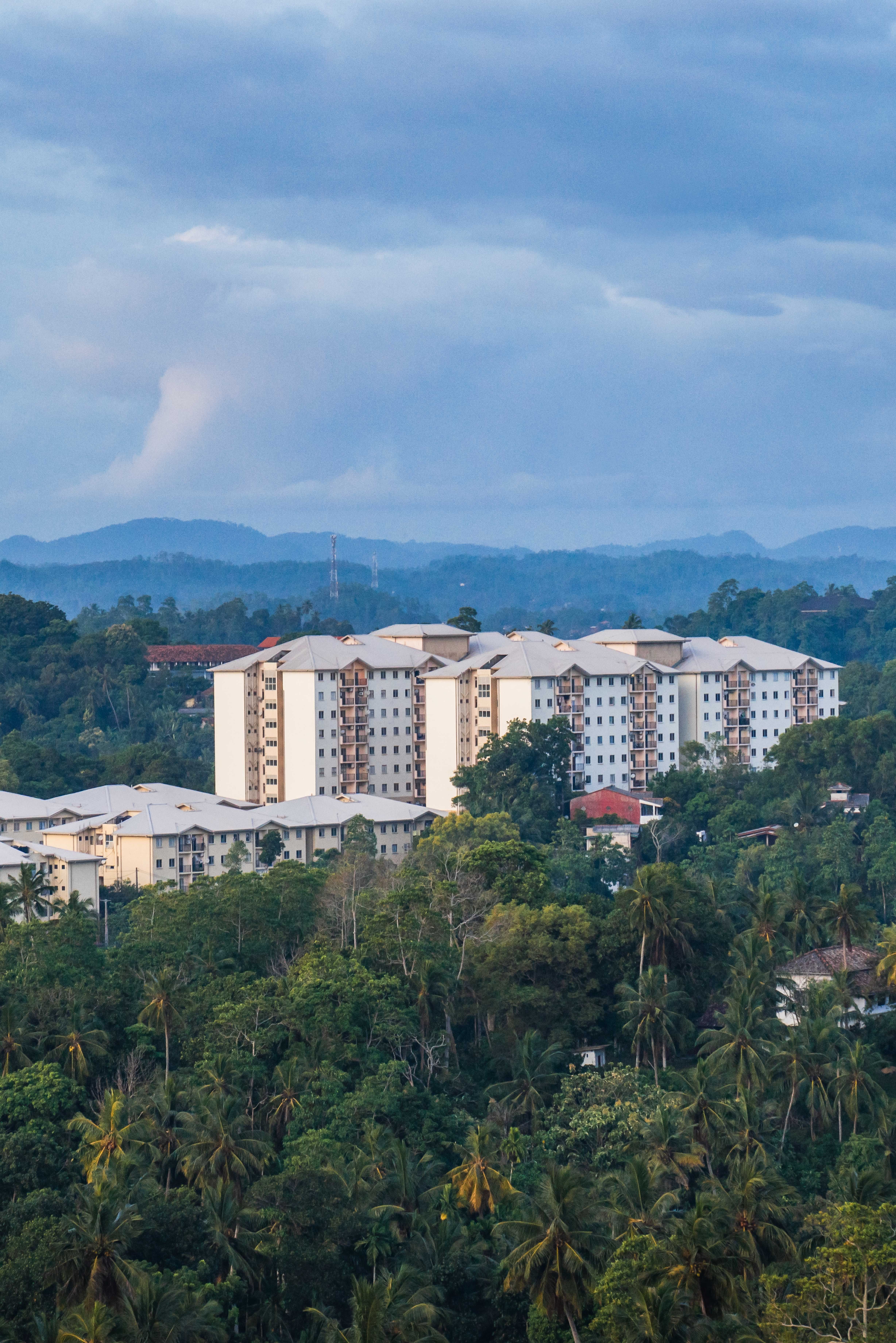 Aerial View of Residential Buildings in Lush Landscape · Free Stock Photo