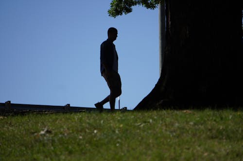 adam, ağaç gövdesi, ayakta içeren Ücretsiz stok fotoğraf