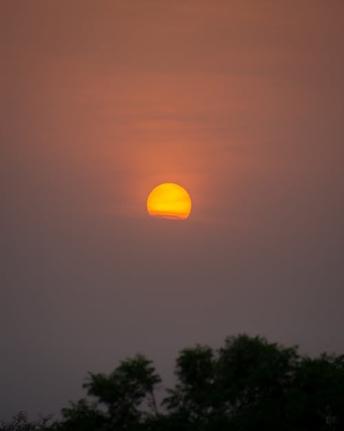 Ilmainen kuvapankkikuva tunnisteilla auringonlasku, dramaattinen taivas, kasvit