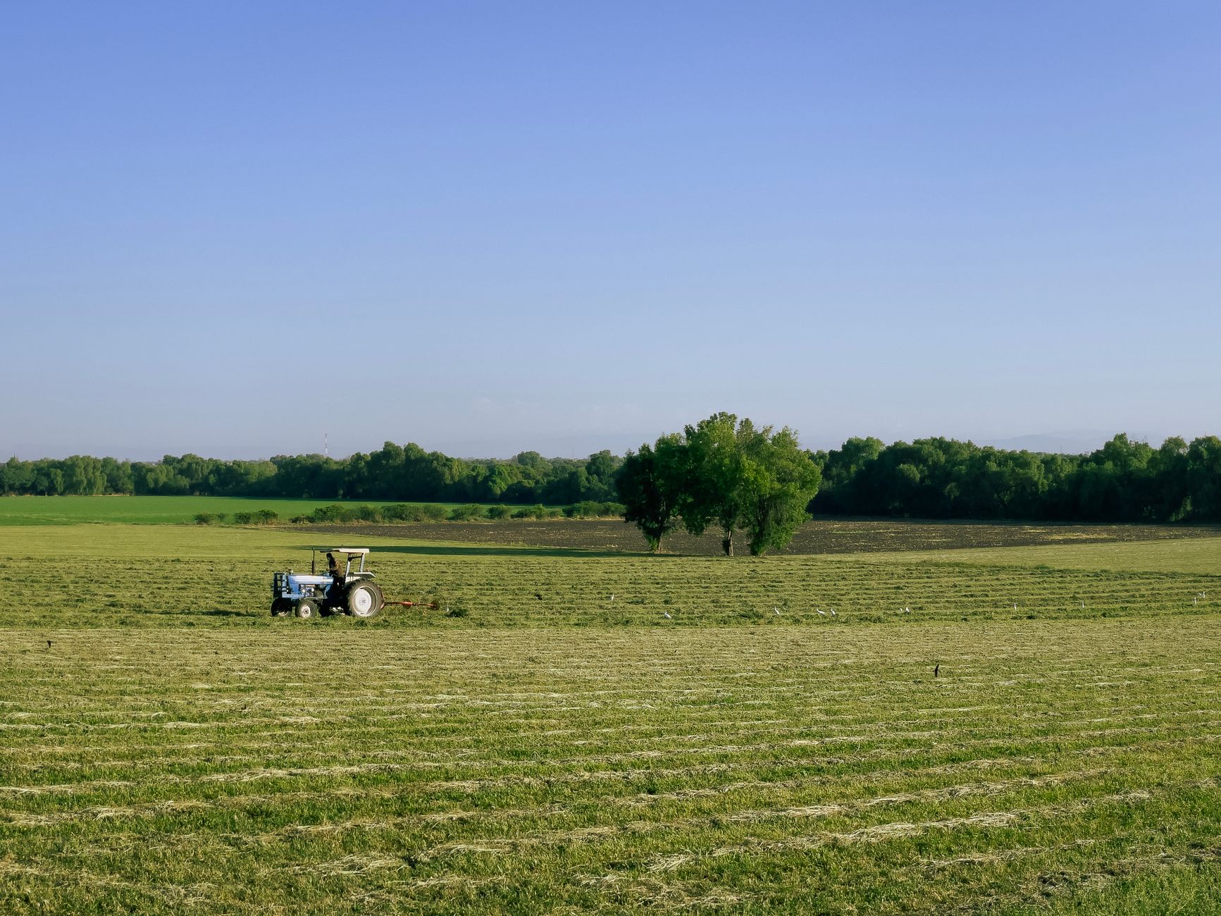 Climate Mandates Squeeze Farm Margins As Food Service Sector Prepares For Rising Wholesale Costs