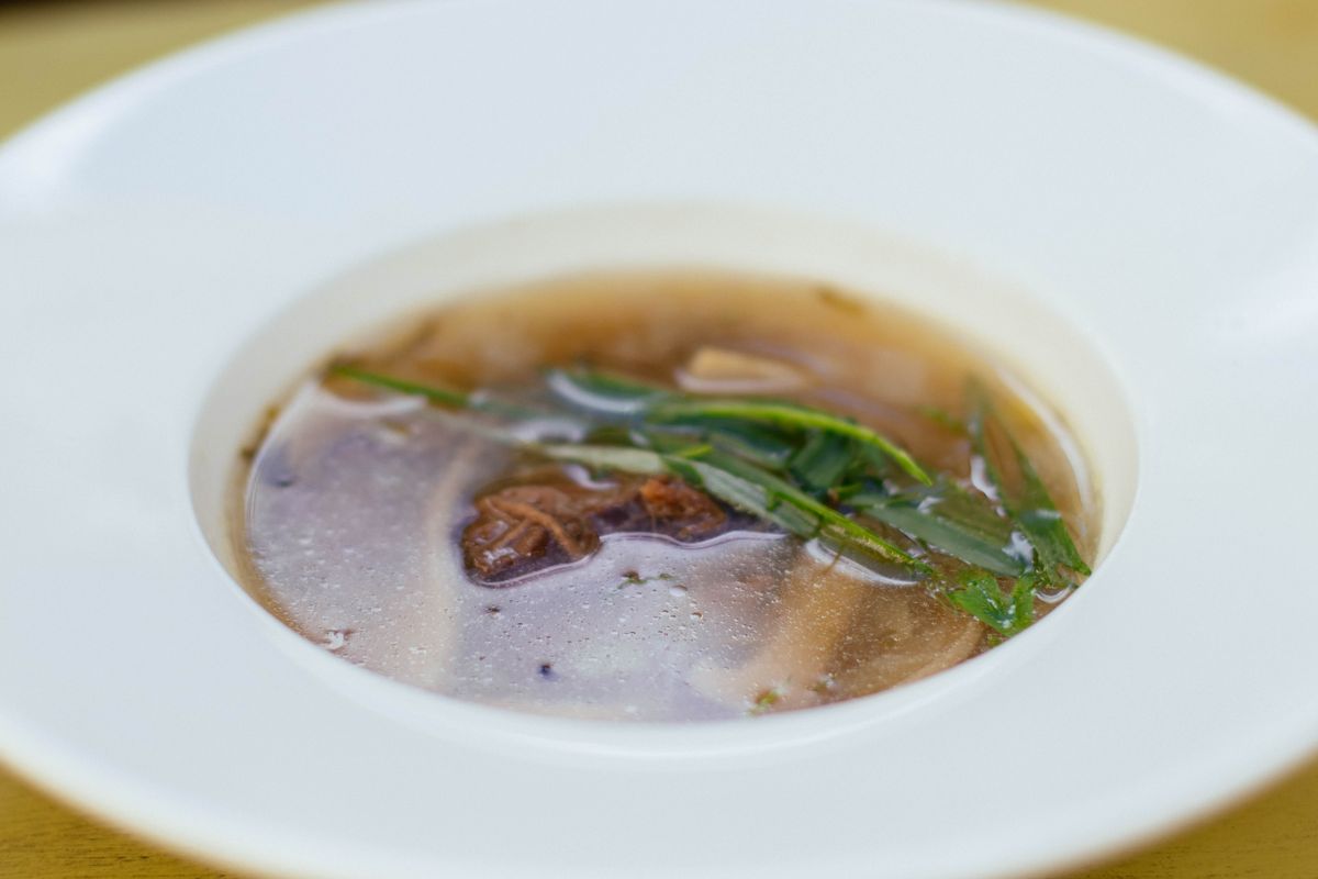 Warm clear broth with tender meat and fresh herbs in a white bowl, a gentle food during recovery from a stomach bug