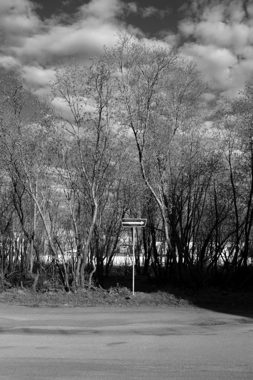 Free Monochrome photo of a road with bare trees and cloudy sky, offering a serene and timeless atmosphere. Stock Photo